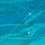 Scientific Environmental Applications, Inc.